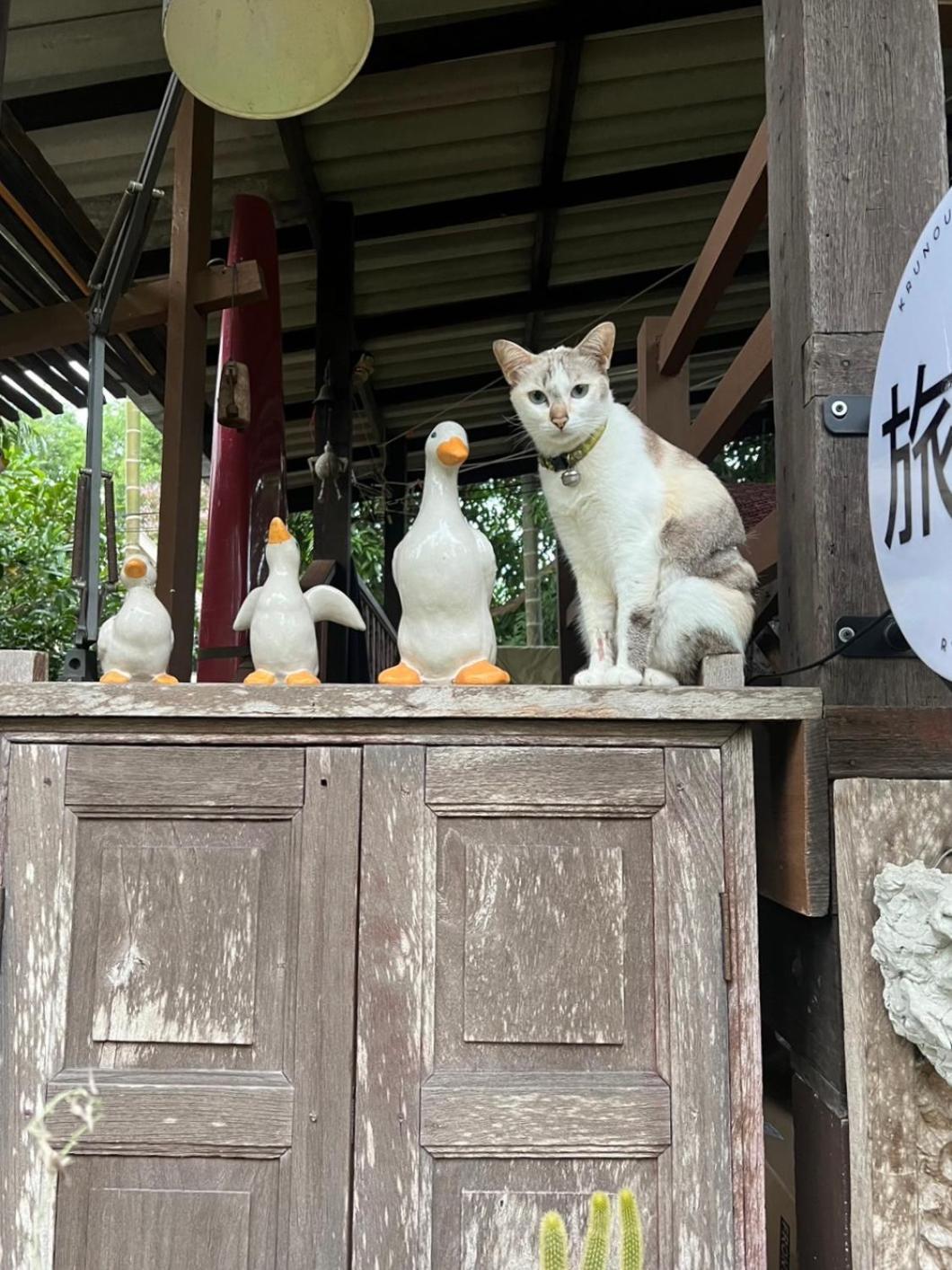 ครูหนูบ้านพัก แหลมงอบ Krunou Baanpak Trat Exterior foto